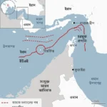 bd92c9b0-4b61-11f0-a466-d54f65b60deb.png (1)